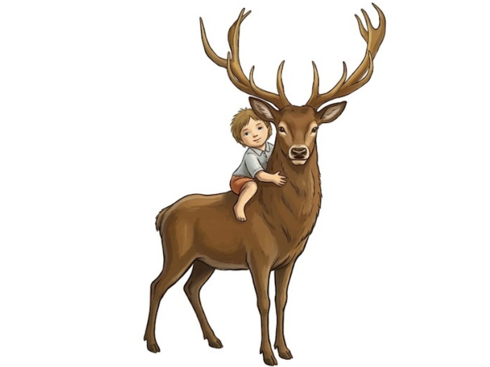 Ilustrace k 5. kolu